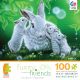 Furry Friends - Whisper