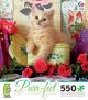 Purr-fect - Tin of Roses