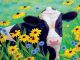 Moo - Daisy Dazer